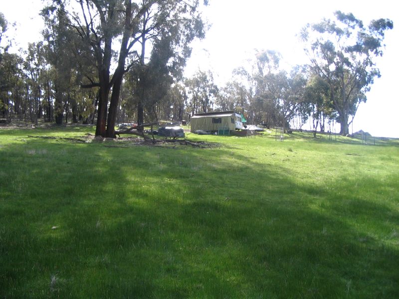 a green lawn in a large field with trees on it