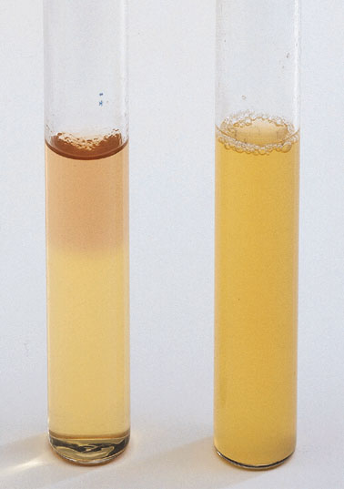 a bottle and tube of orange liquid next to each other