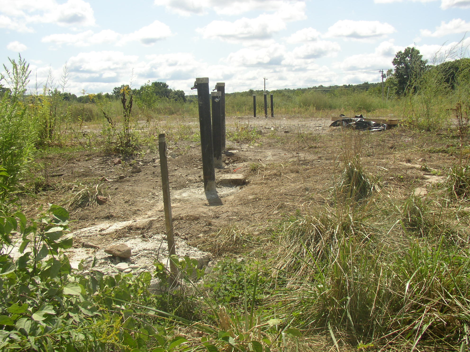 an empty lot with a pile of junk and two horses in the distance