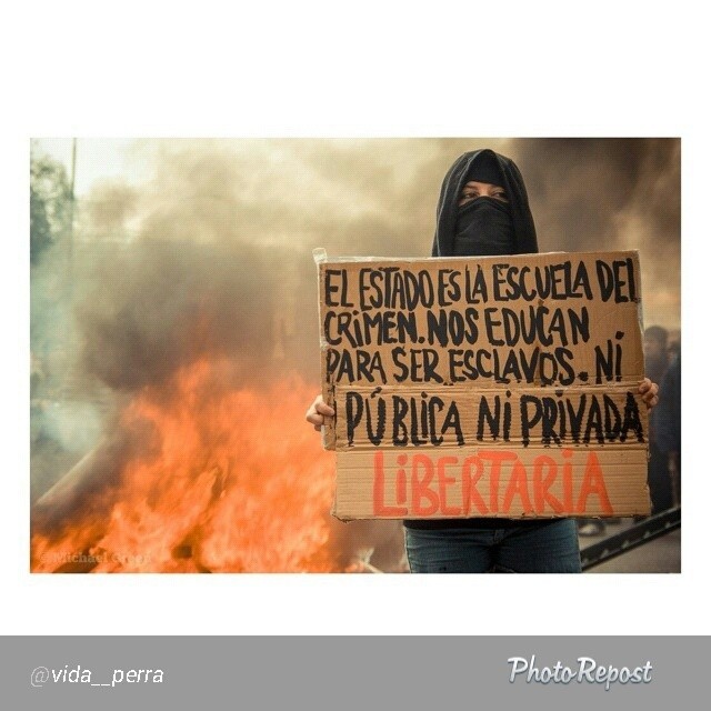 a protester holds up a sign that reads la cerrada as the fire rages behind them