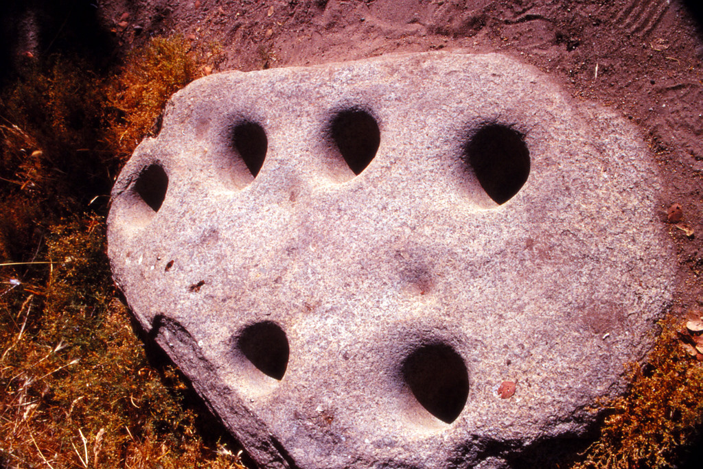 a rock sitting in the middle of grass