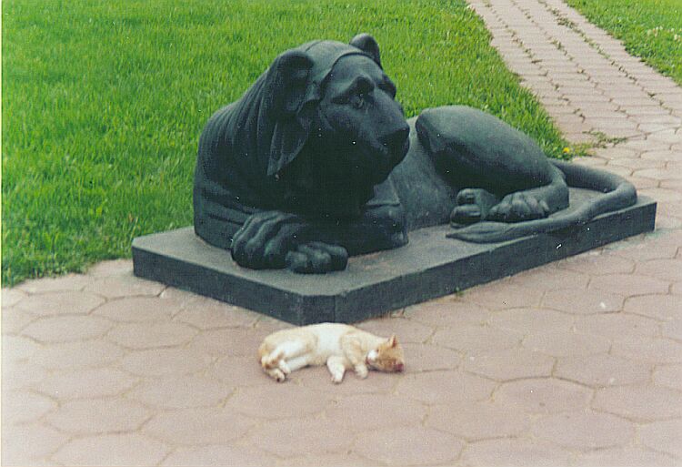 a cat sleeping next to the dog statue