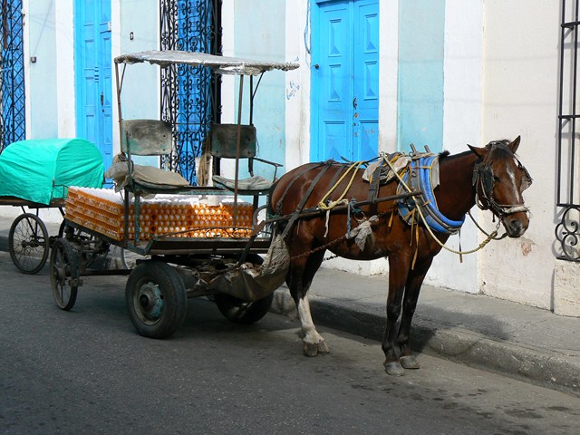 horse pulling a cart down the street next to a building