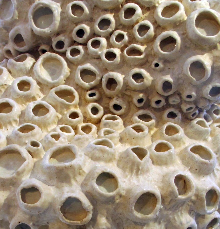 many clay structures that are very textured