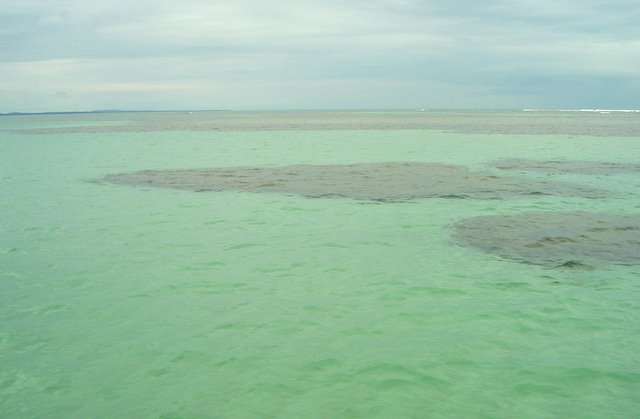 the ocean with green water is under the cloudy sky