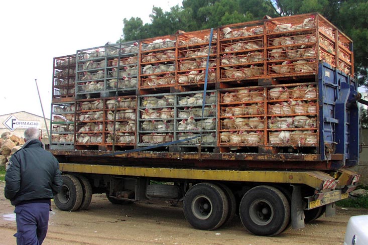 a man standing near a large truck filled with food
