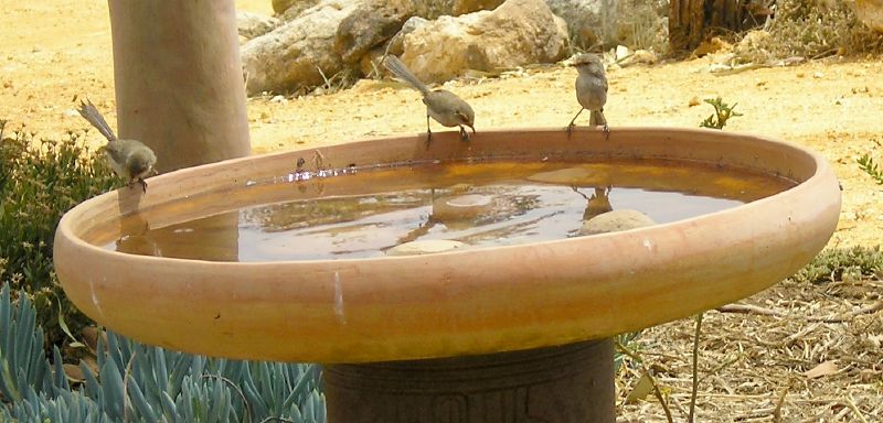two birds are sitting on the top of a water fountain