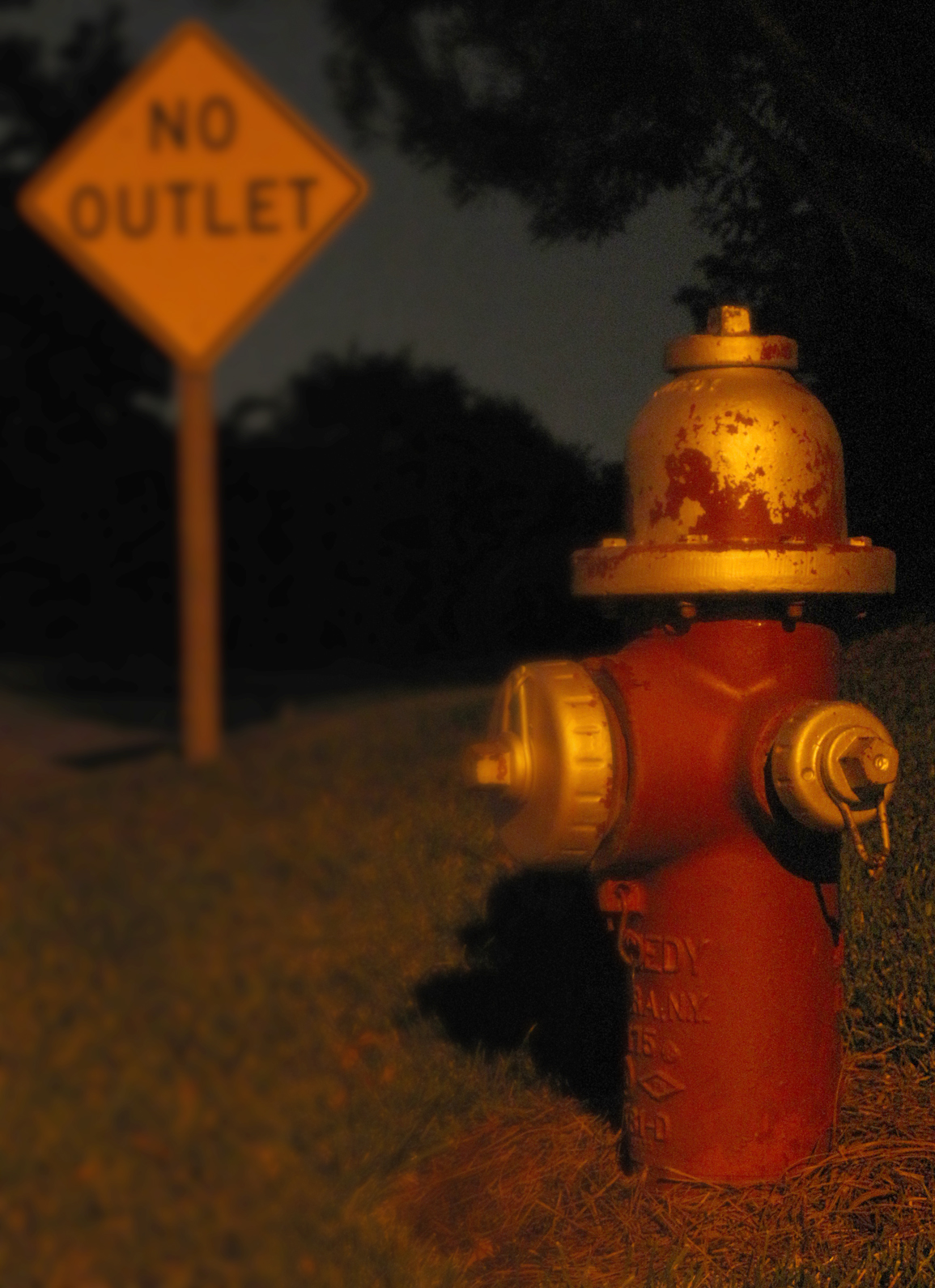 a fire hydrant in the grass near a sign