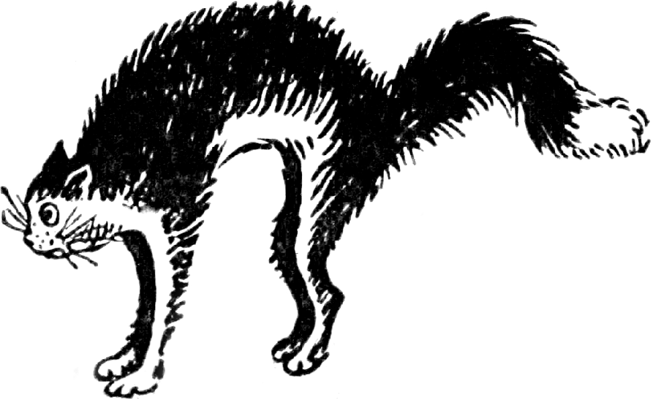 a black and white drawing of a cat