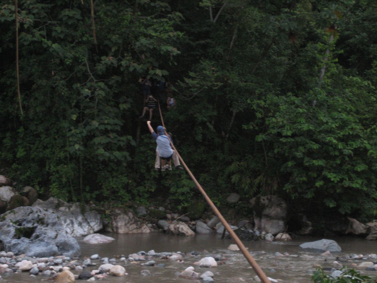 a couple of men climbing up the side of a tree