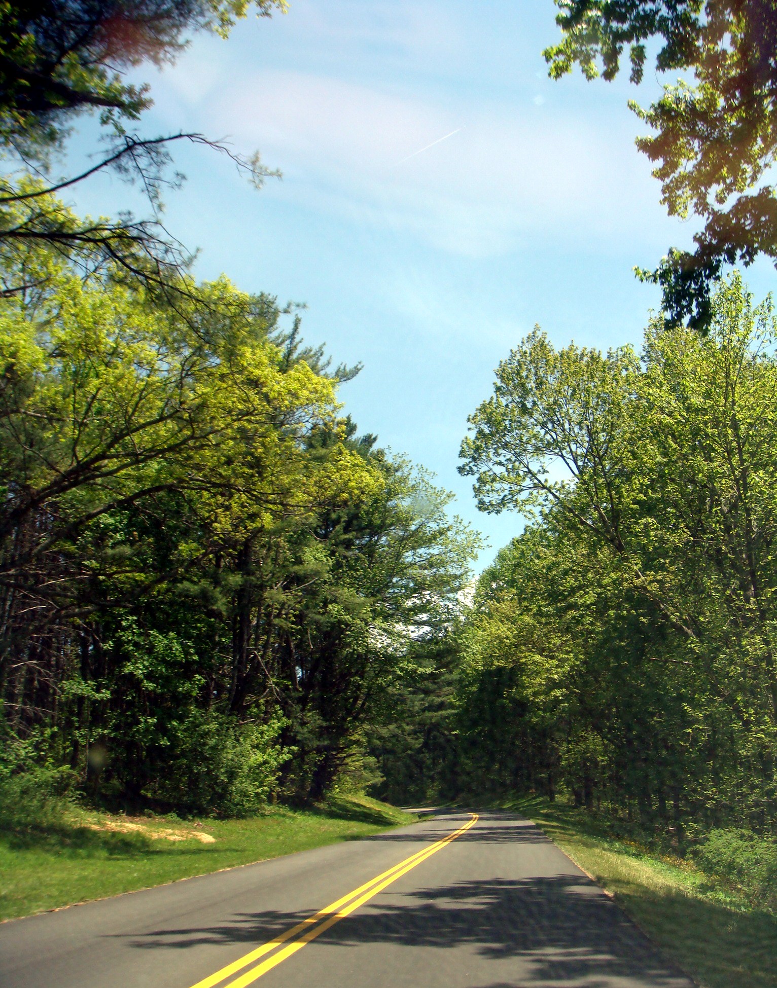 a very long road next to some pretty green trees