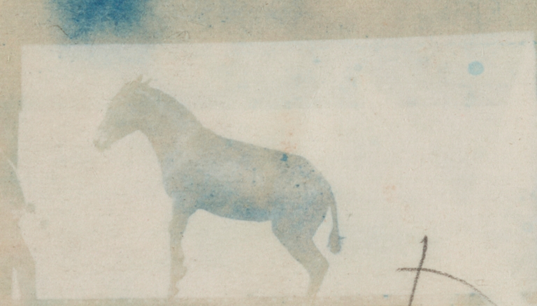 the silhouette of a horse is in blue on a textured paper background