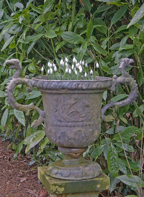 a pot that has flowers inside it