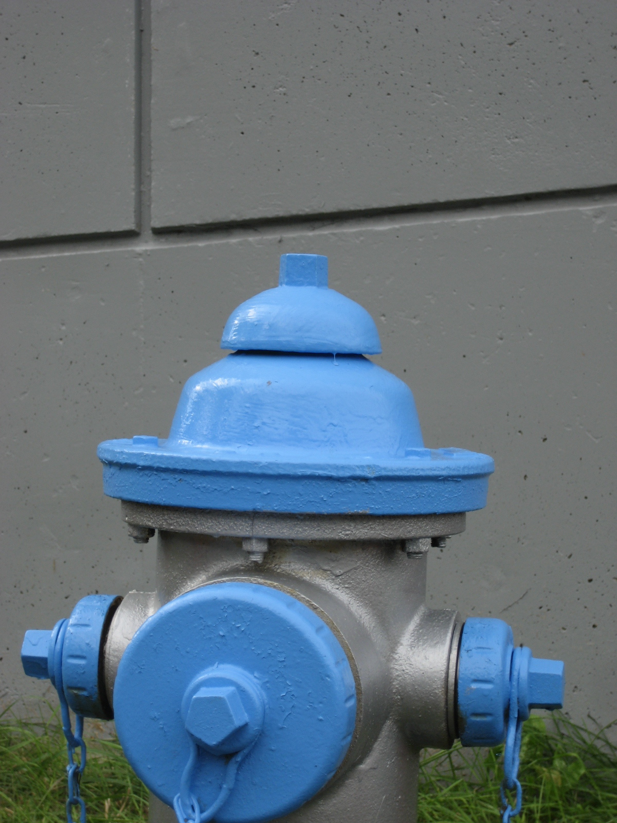 a fire hydrant painted blue and grey in the grass