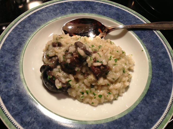 a white and blue plate with rice with mushrooms