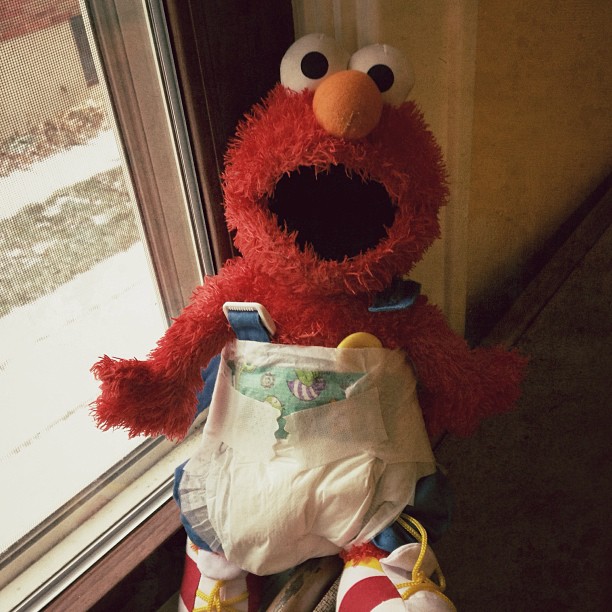 a sesame the sesame street elme plush animal sitting next to a window