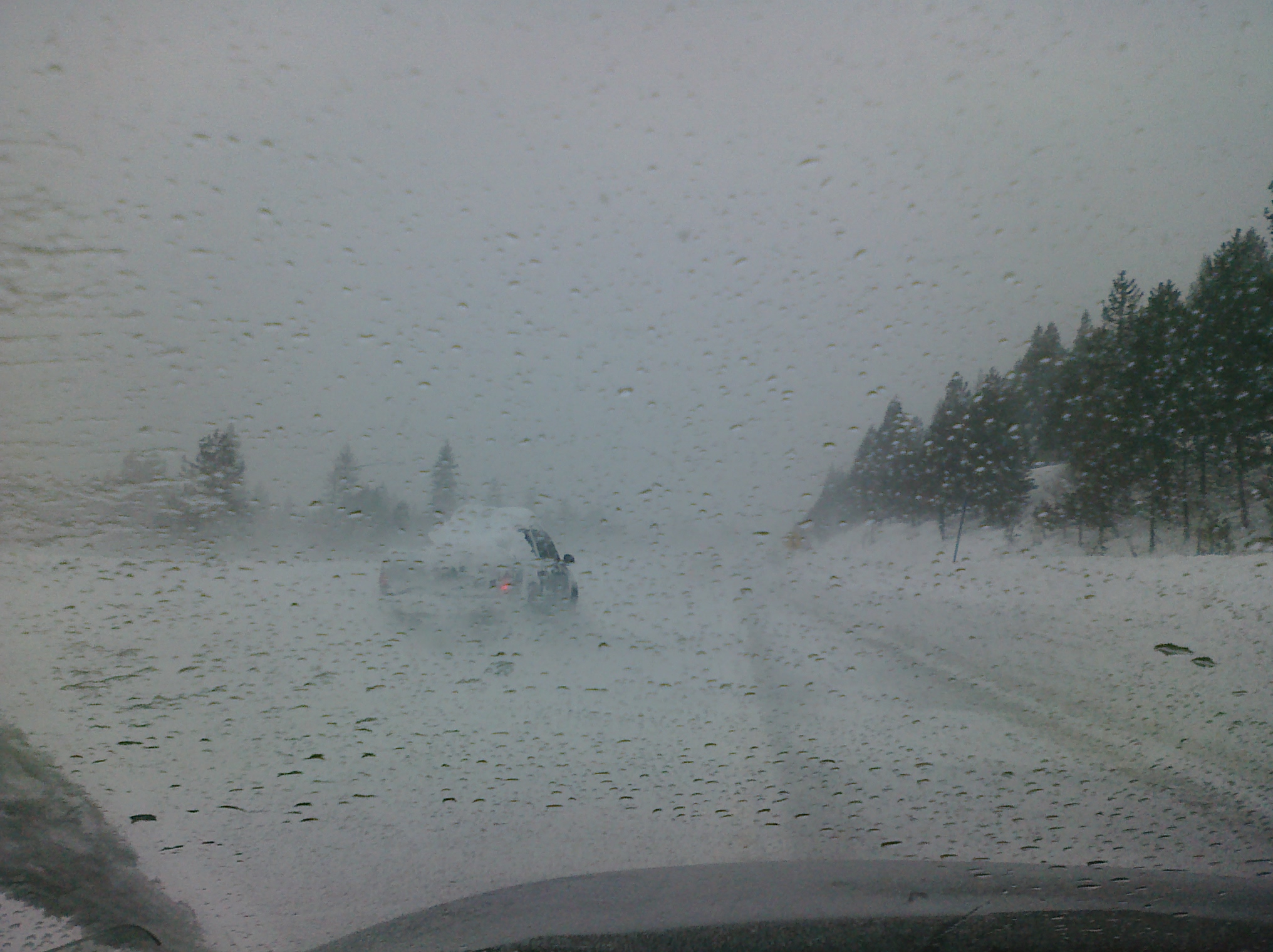 snow falling down on a road near many trees