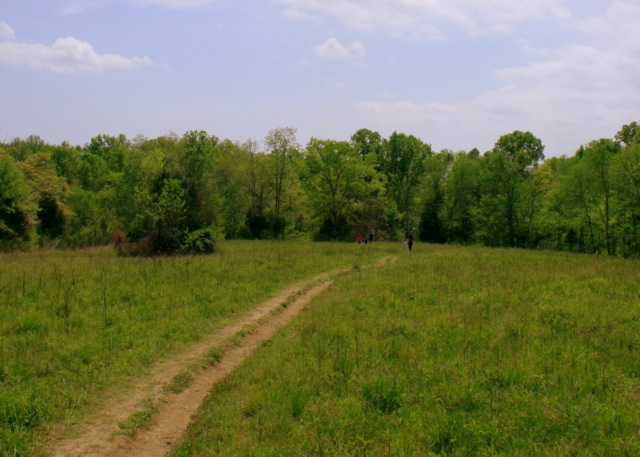 two people on a trail in a field
