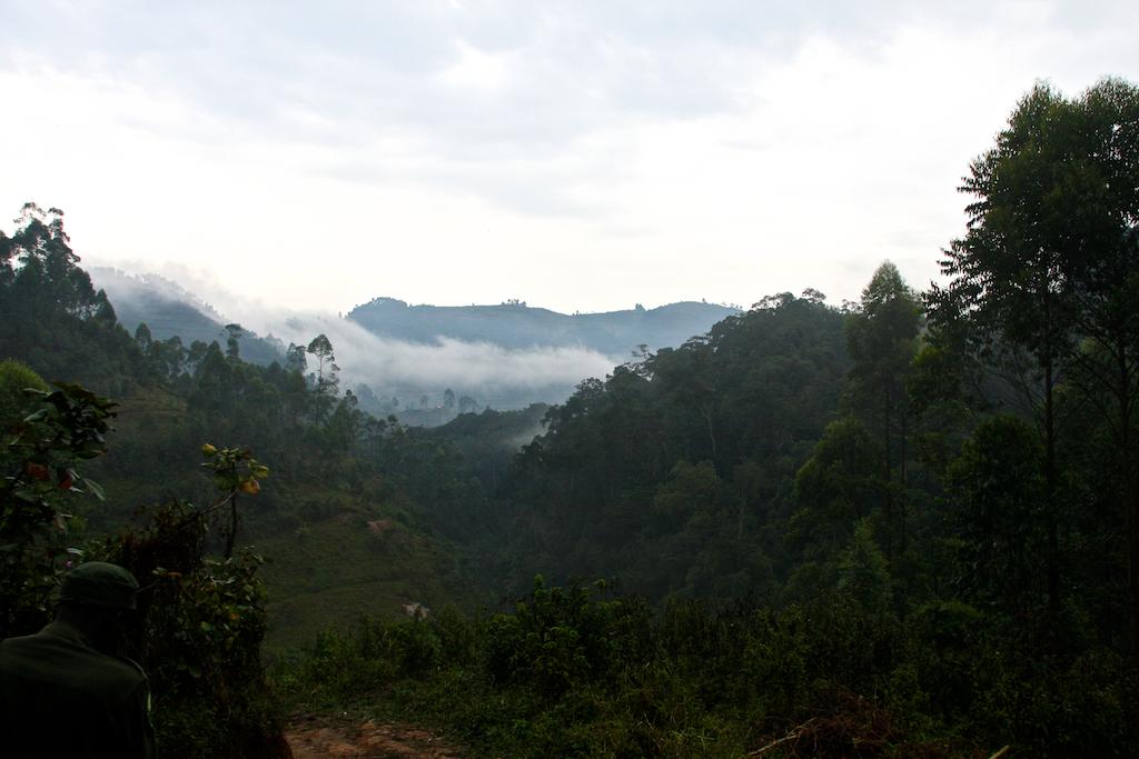 the clouds are moving in over the jungle