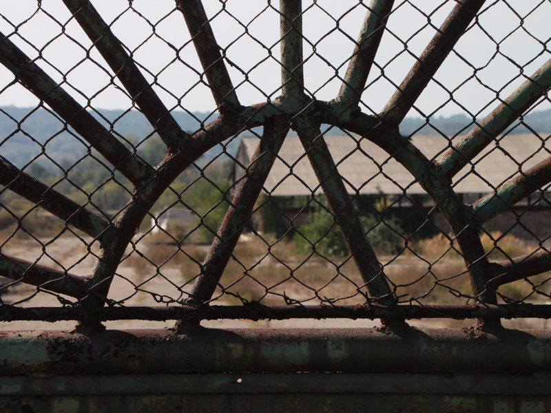 a metal gate made up of vines and bars