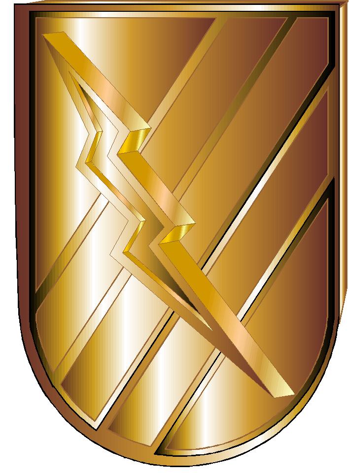 an image of a golden shield with gold lines