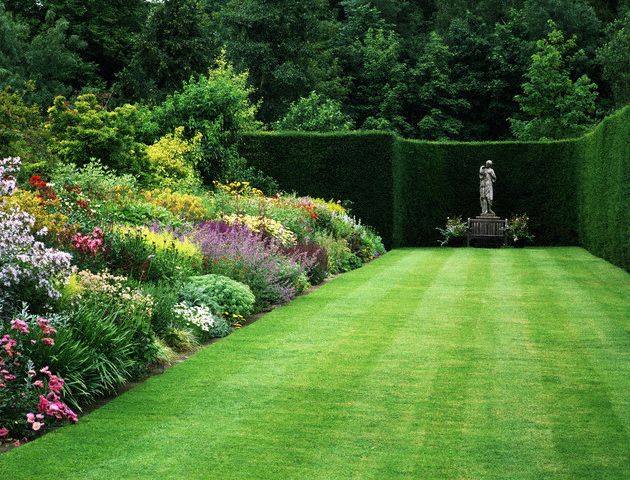 a garden with a large lawn surrounded by various plants