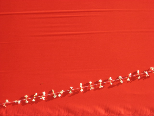 birds resting on top of a long line of string