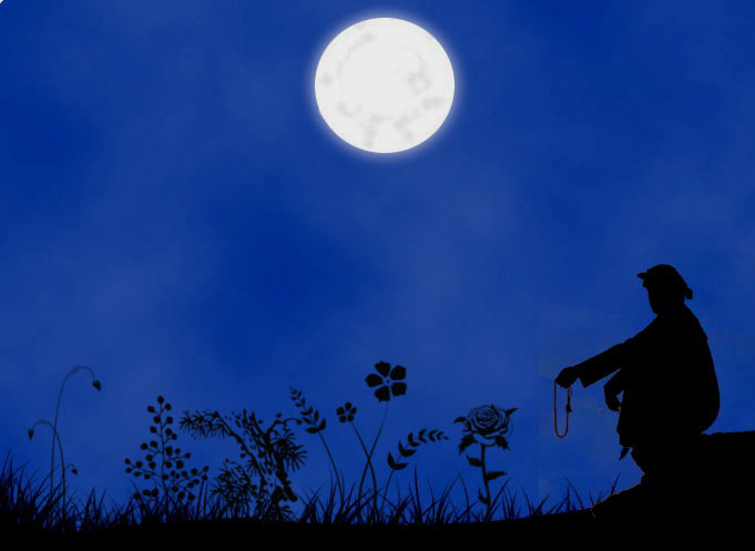 a silhouetted person sitting in a grassy area with the moon in the sky above them