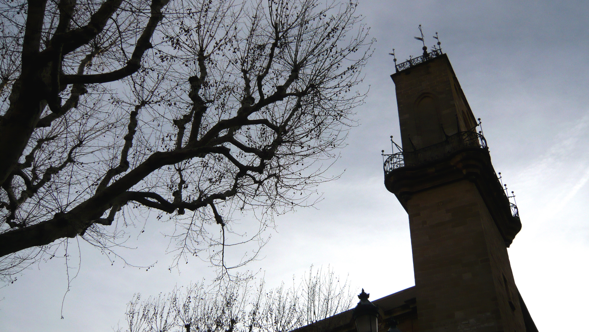 tree nches, clock tower, and sky in the distance