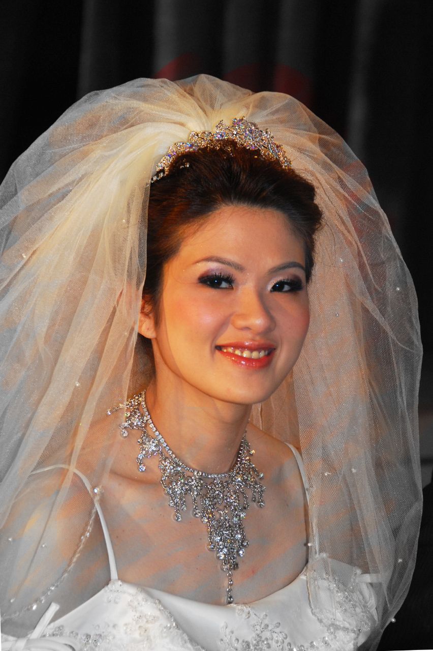 a woman wearing a bridal veil and dress