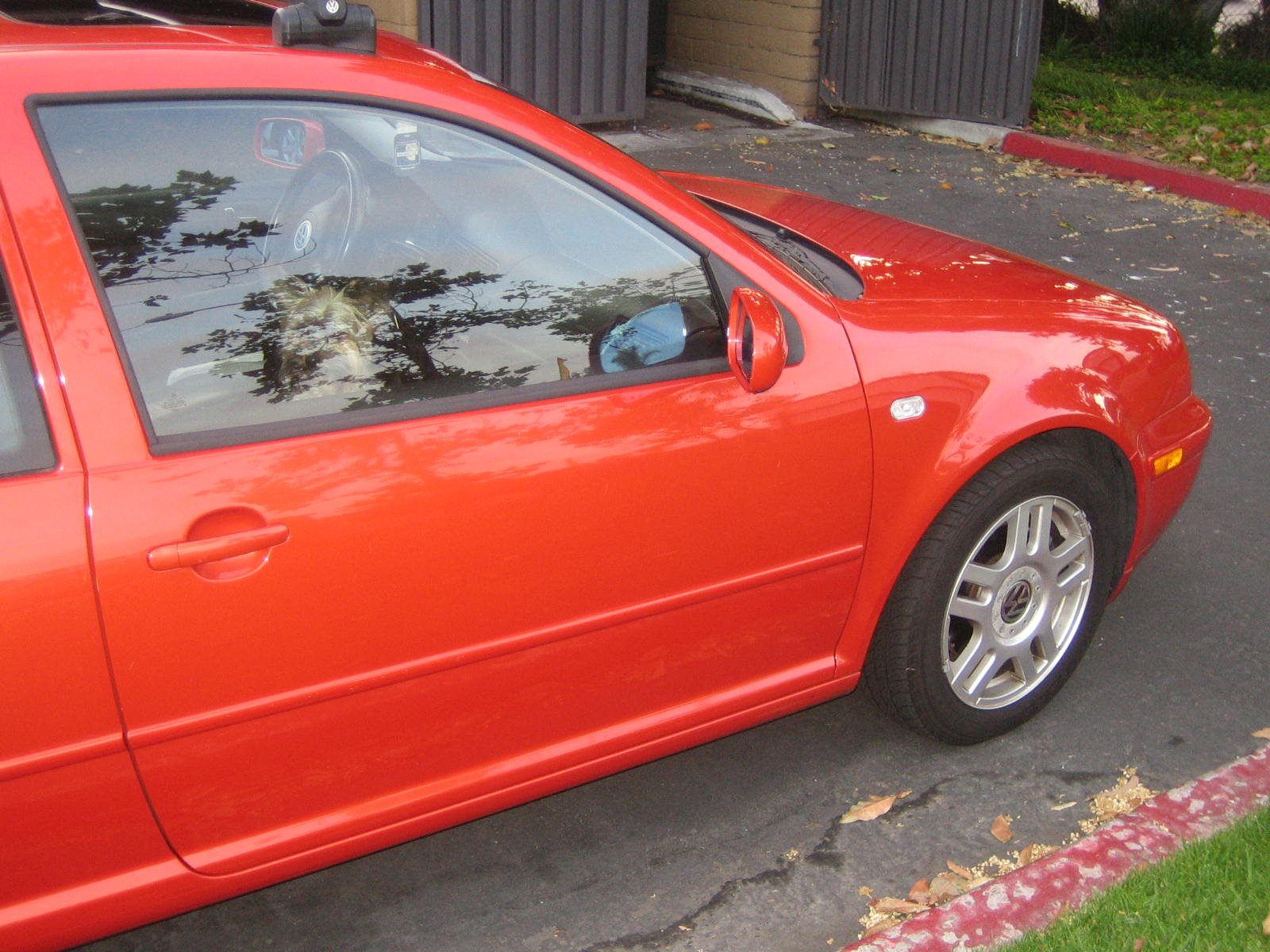 the orange car has a mirror on it's door