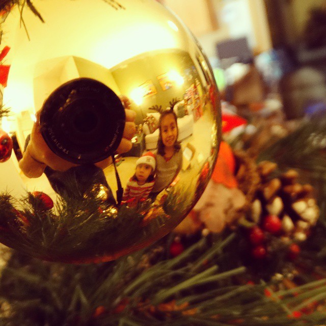 the glass ornament is hanging from a christmas tree