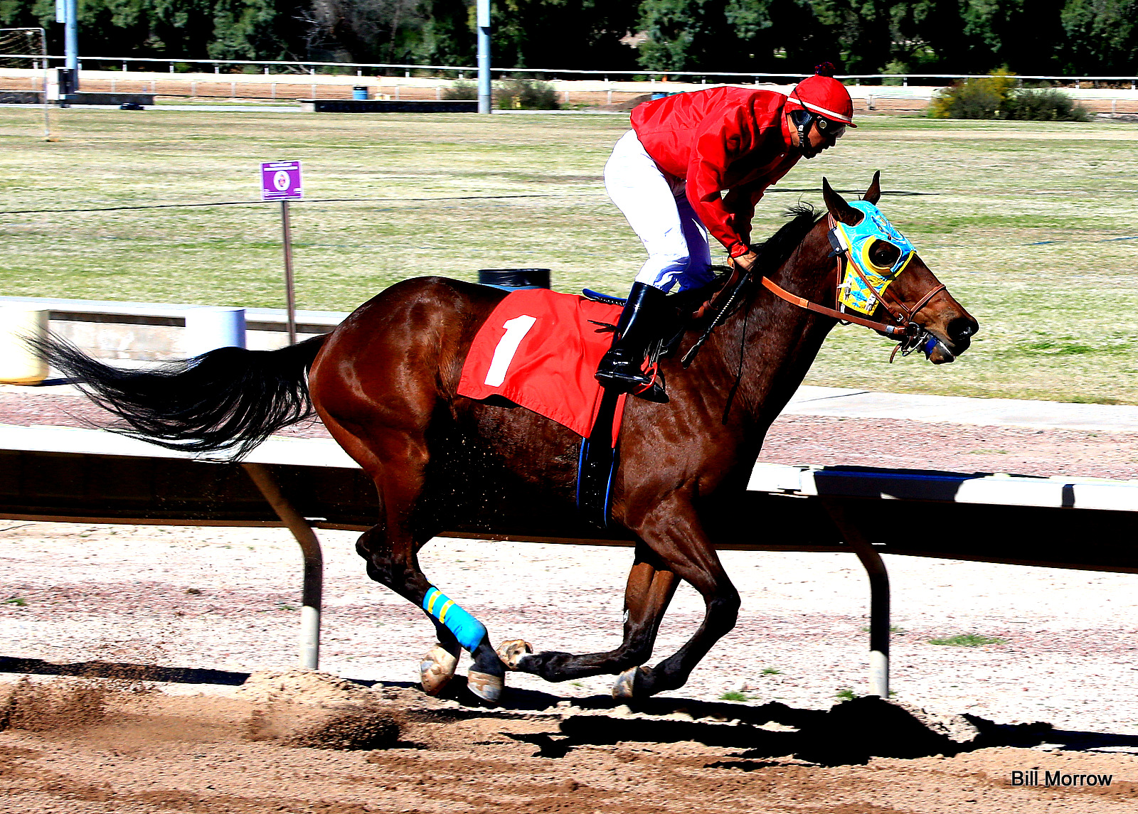 a person riding a horse on a track