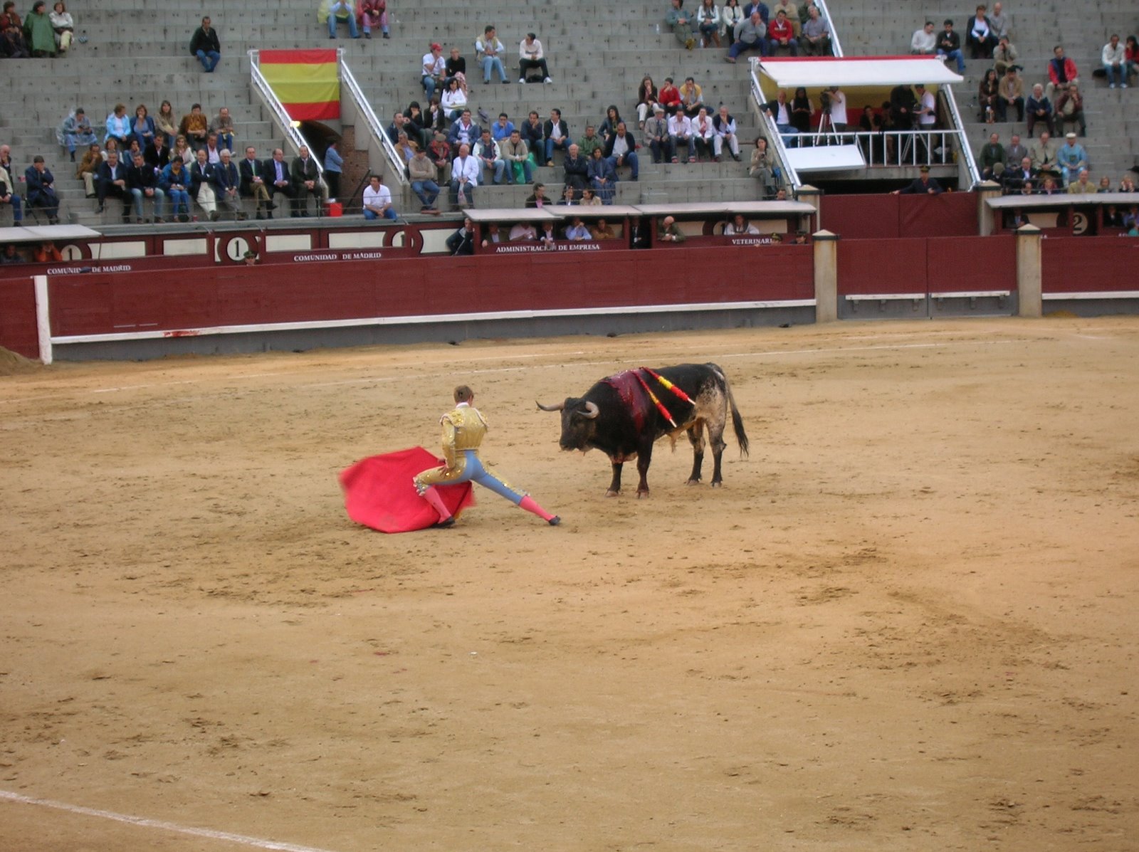 a man on the ground trying to rope a bull