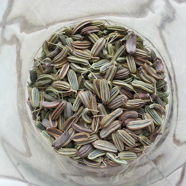 a pile of sunflower seeds in a glass bowl