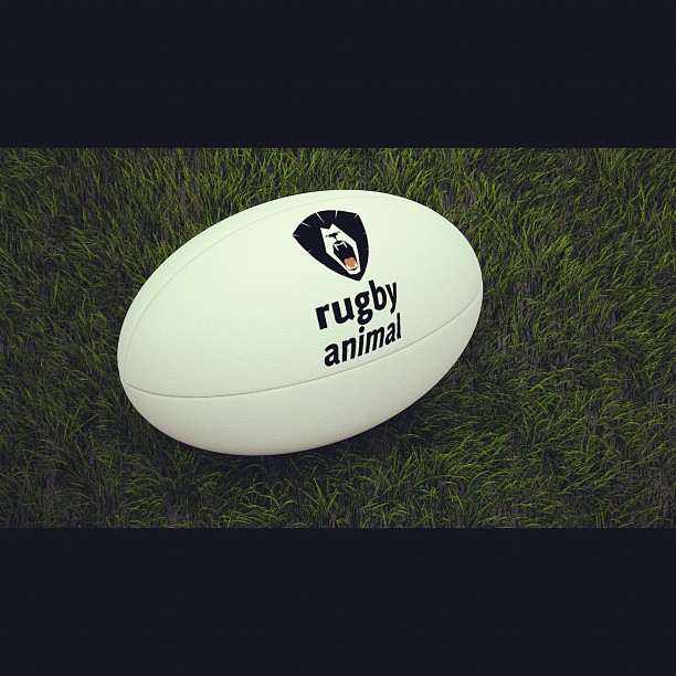 an all white rugby ball laying in the grass