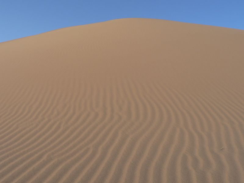 the dunes are completely covered in ripples as the wind picks up