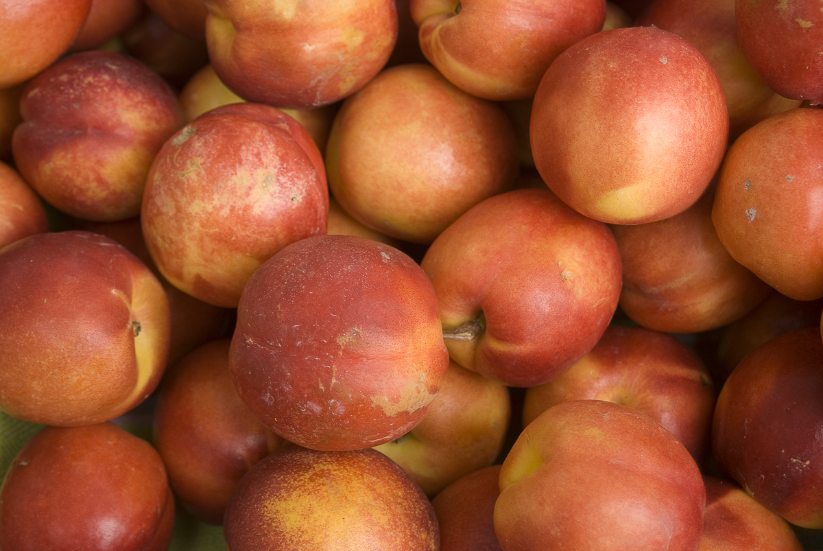 a pile of red apples in the sun