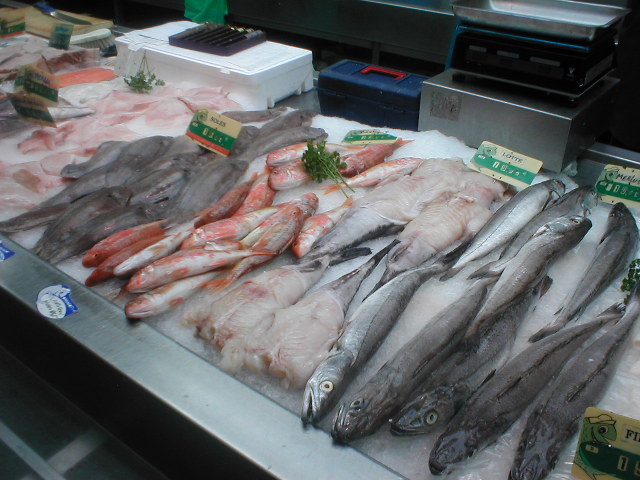 a fish stall with lots of different kinds of fish