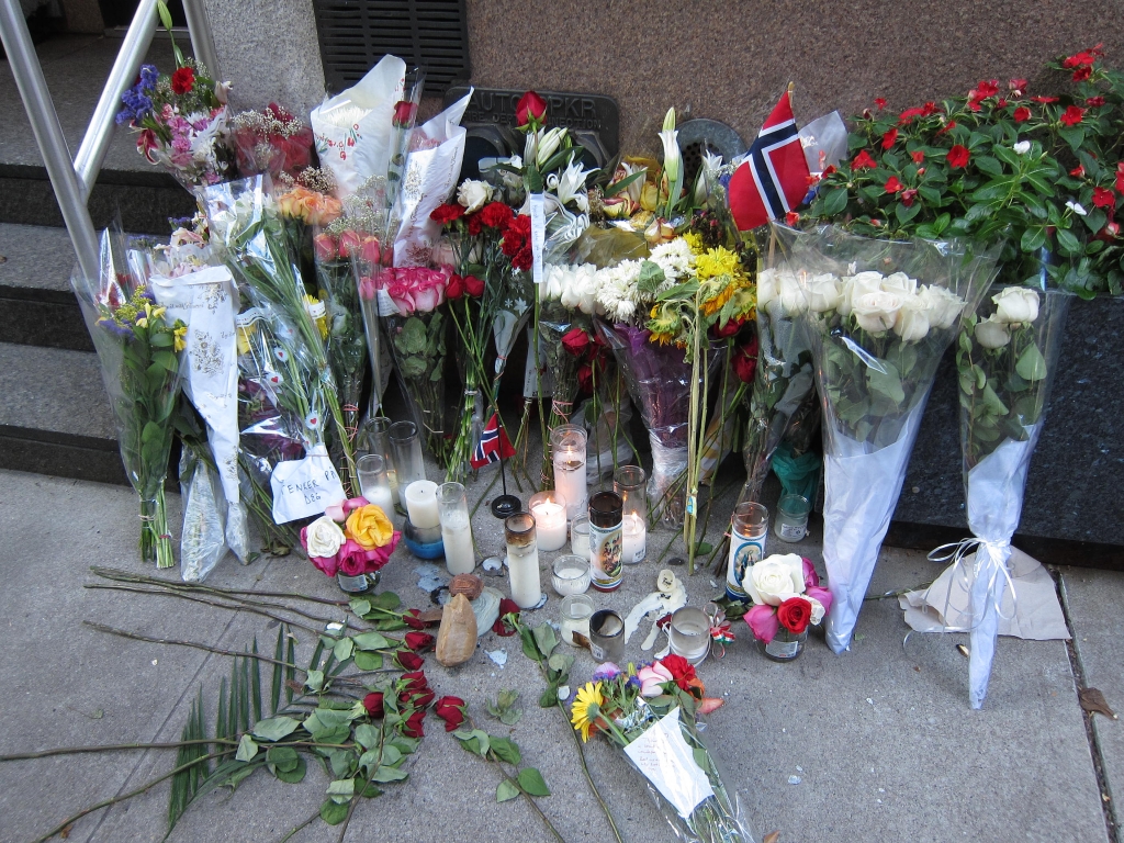 a bunch of flowers are lined up in a group