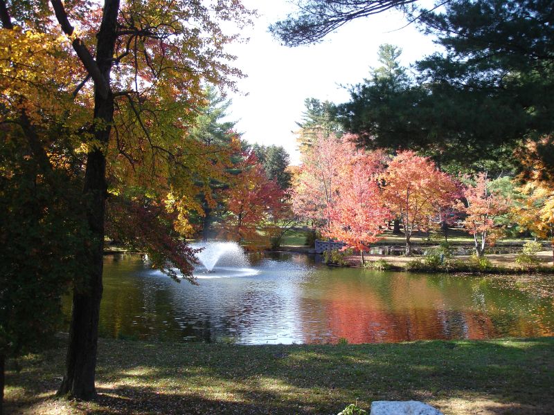 a pond with fall colored trees and a bench