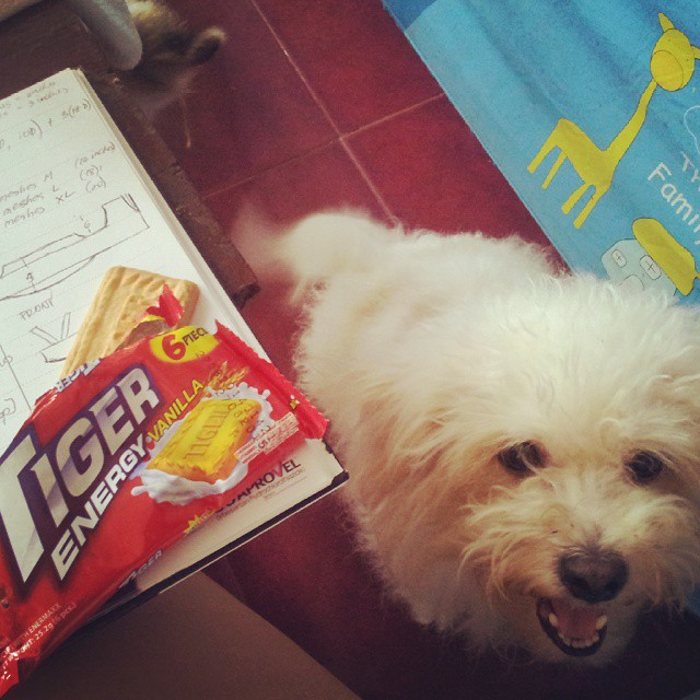 dog standing next to book and bag of chips