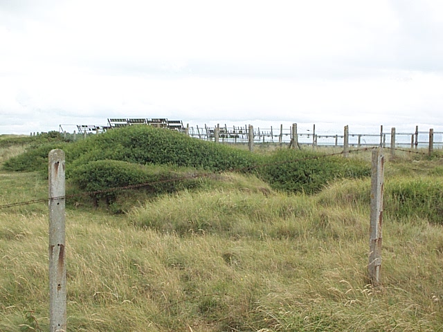 a view of the grass and a wooden fence