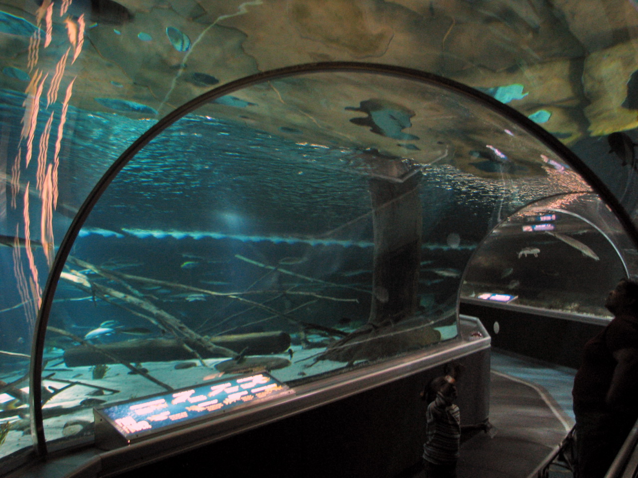 a large fish tank with water inside of it