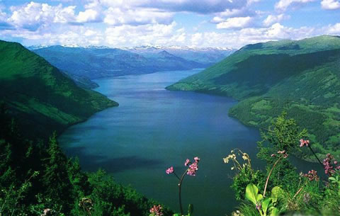 a view of mountains, lake and water with green leaves