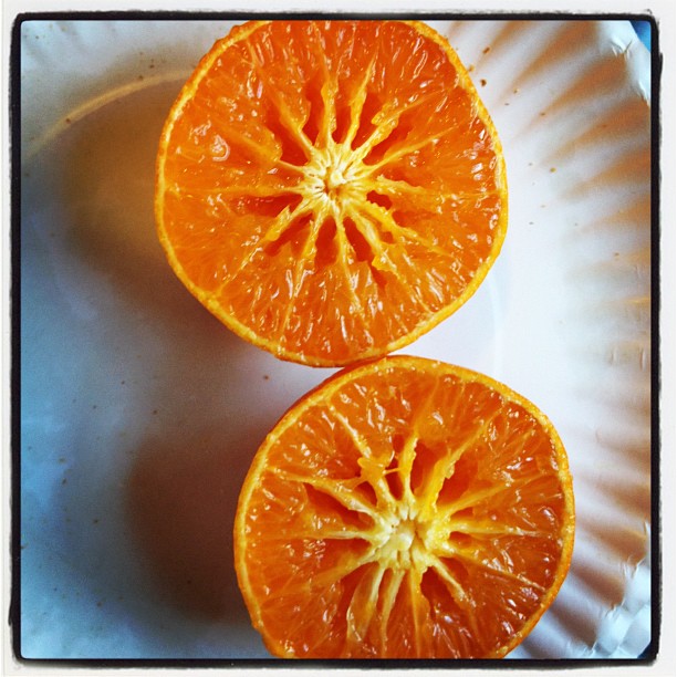 two slices of an orange sitting on top of a white plate