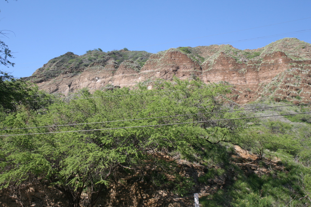 a tall mountain that has grass and trees