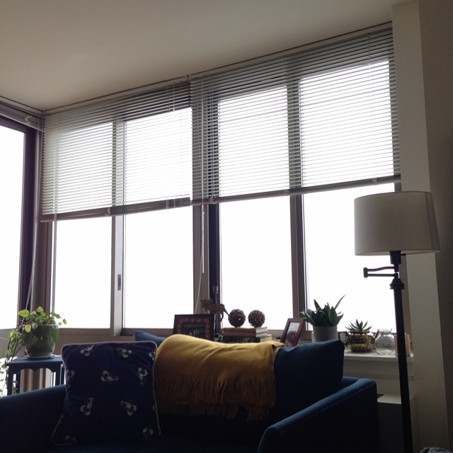 a window with vertical blinds in front of it
