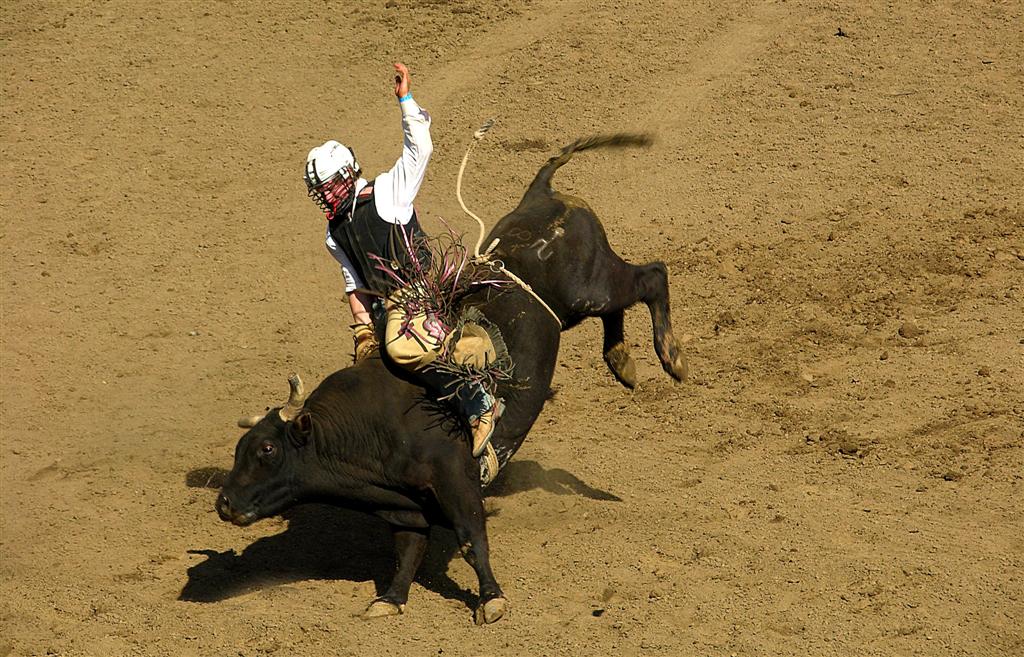 a cowboy on top of a bull riding in the dirt