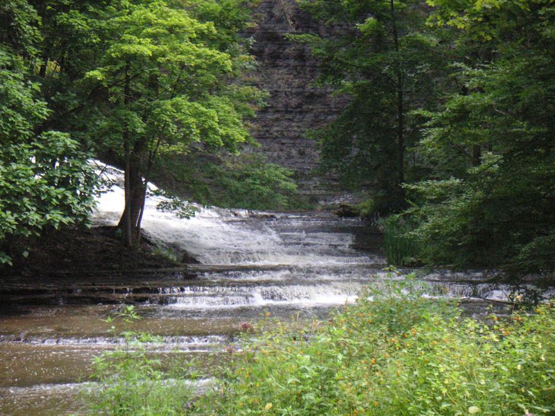 there is some water casing next to the trees